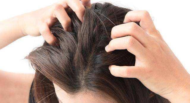 头皮长疙瘩和脓包的常见原因,头皮总是长疙瘩或脓包是什么原因