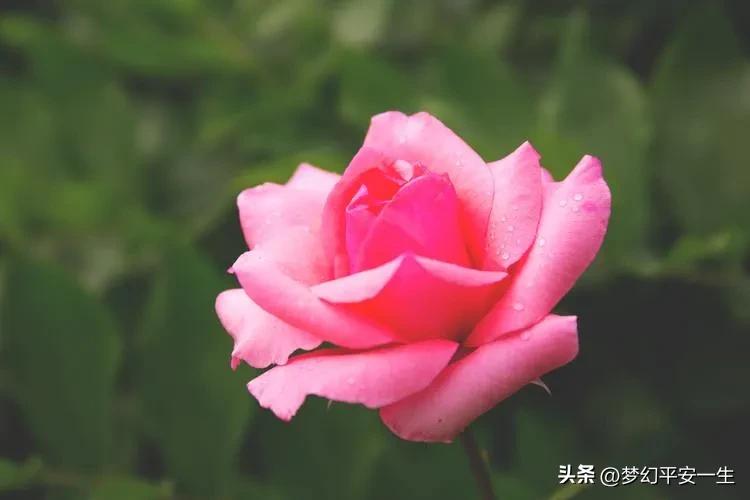 供销社出路,供销社的经历和感受