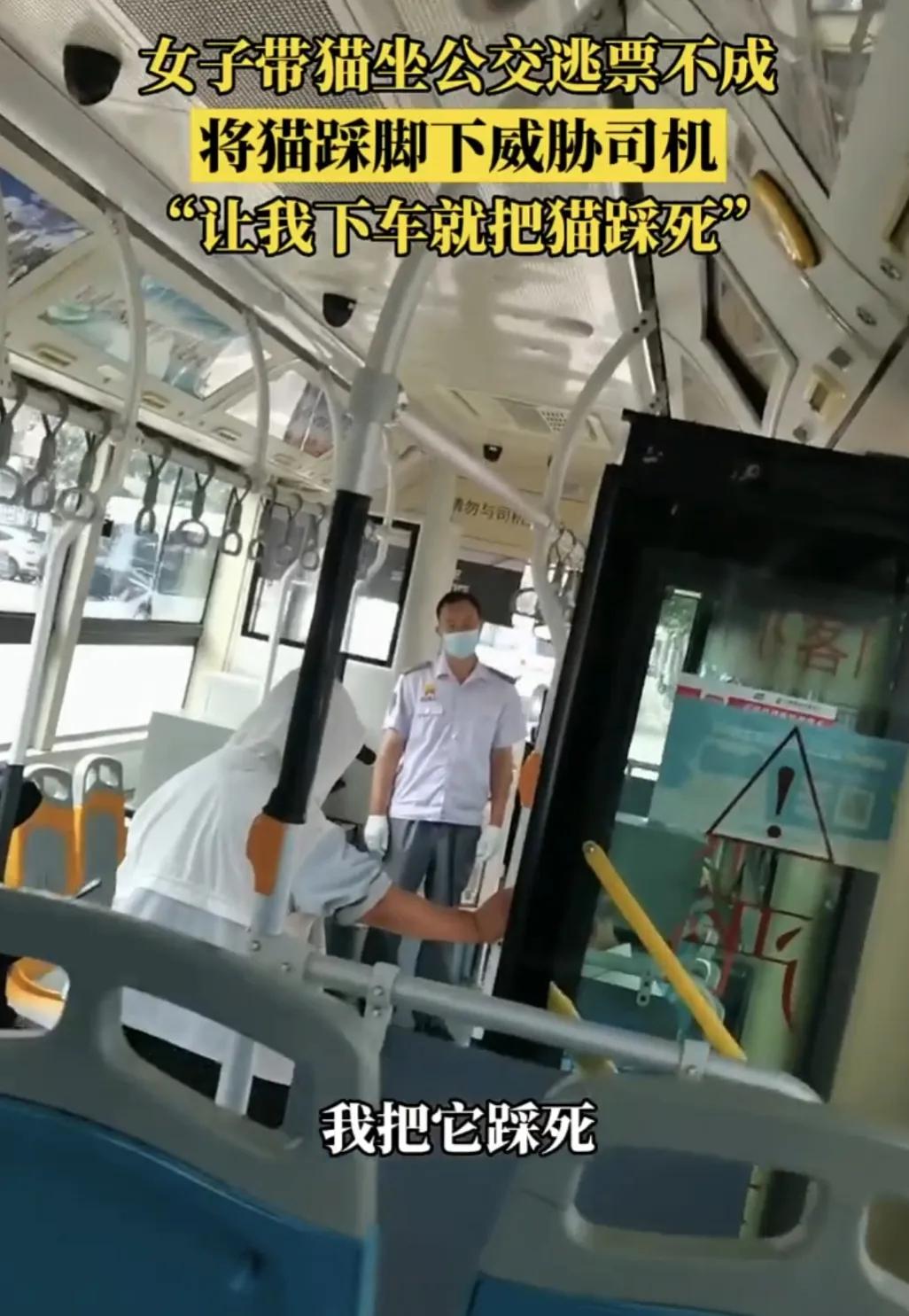 山西临汾公交车女子踩猫后续,心狠手辣的山西女生