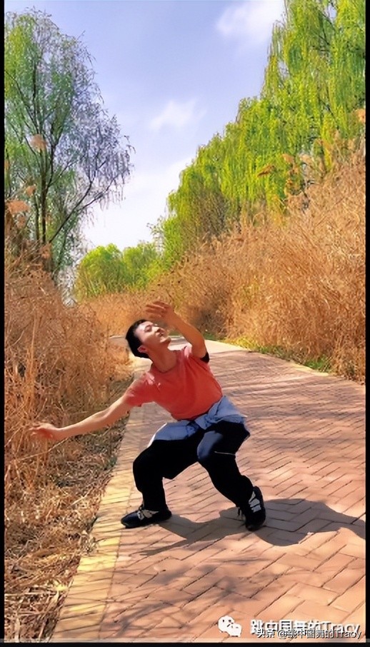 一个元素编舞,一个元素三个动作