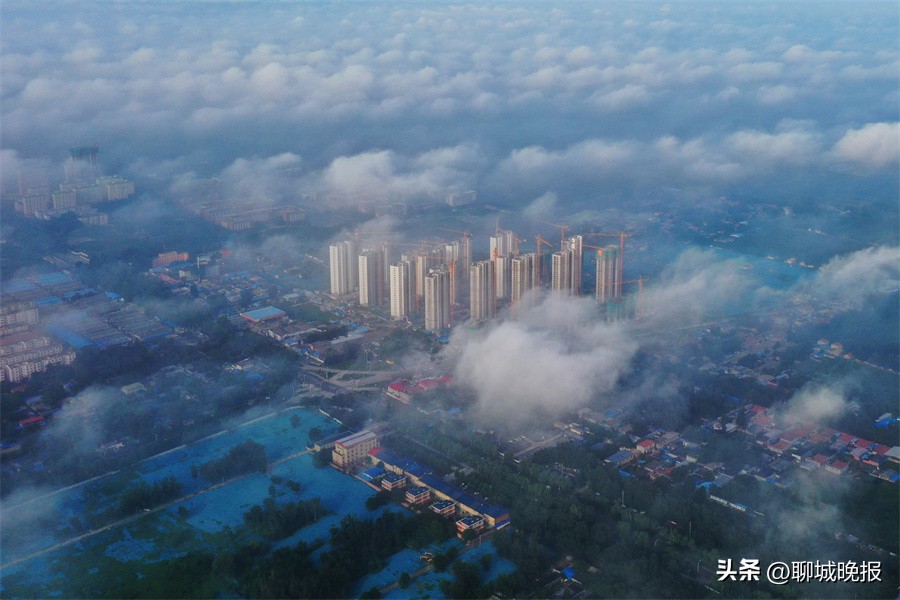 水务杯摄影作品,水务杯冠军