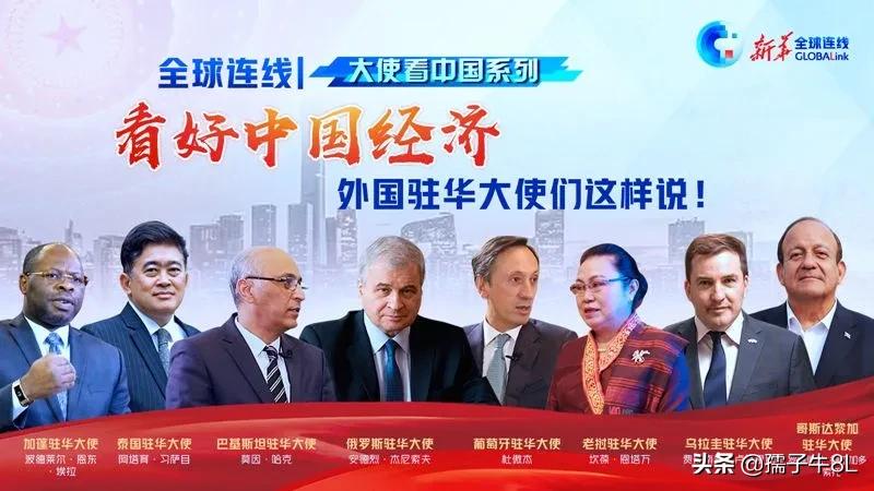 打工十年一场空养羊三年变富翁,十年打工一场空三年养羊成富翁