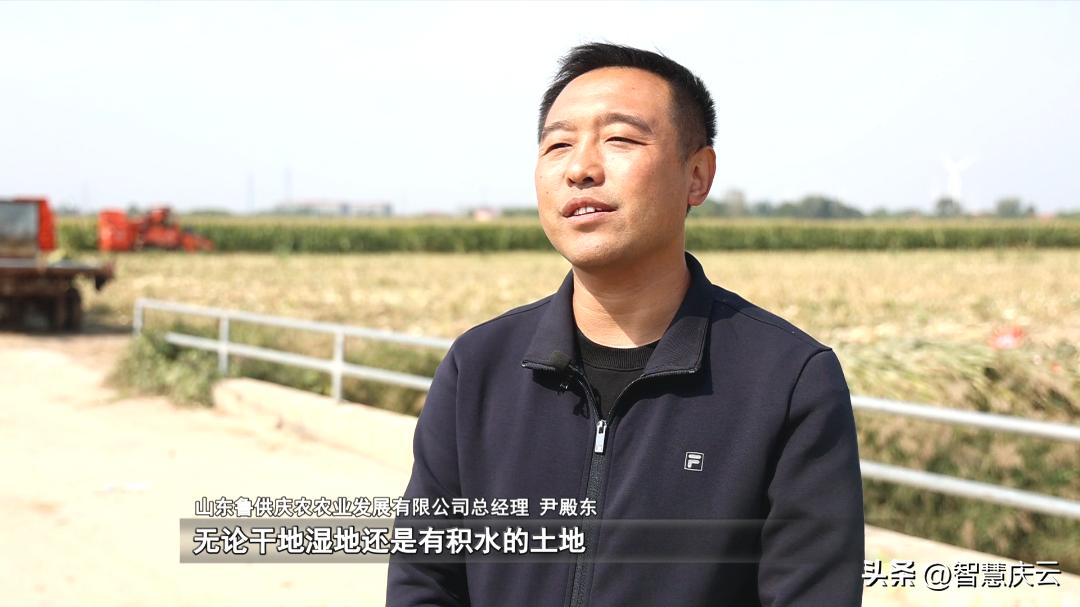 山东高产玉米品种亩产多少公斤,今年农户玉米亩产量