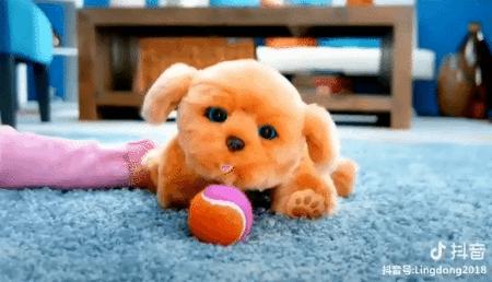 一家玩具店,一家玩具店的玩具有多好玩儿