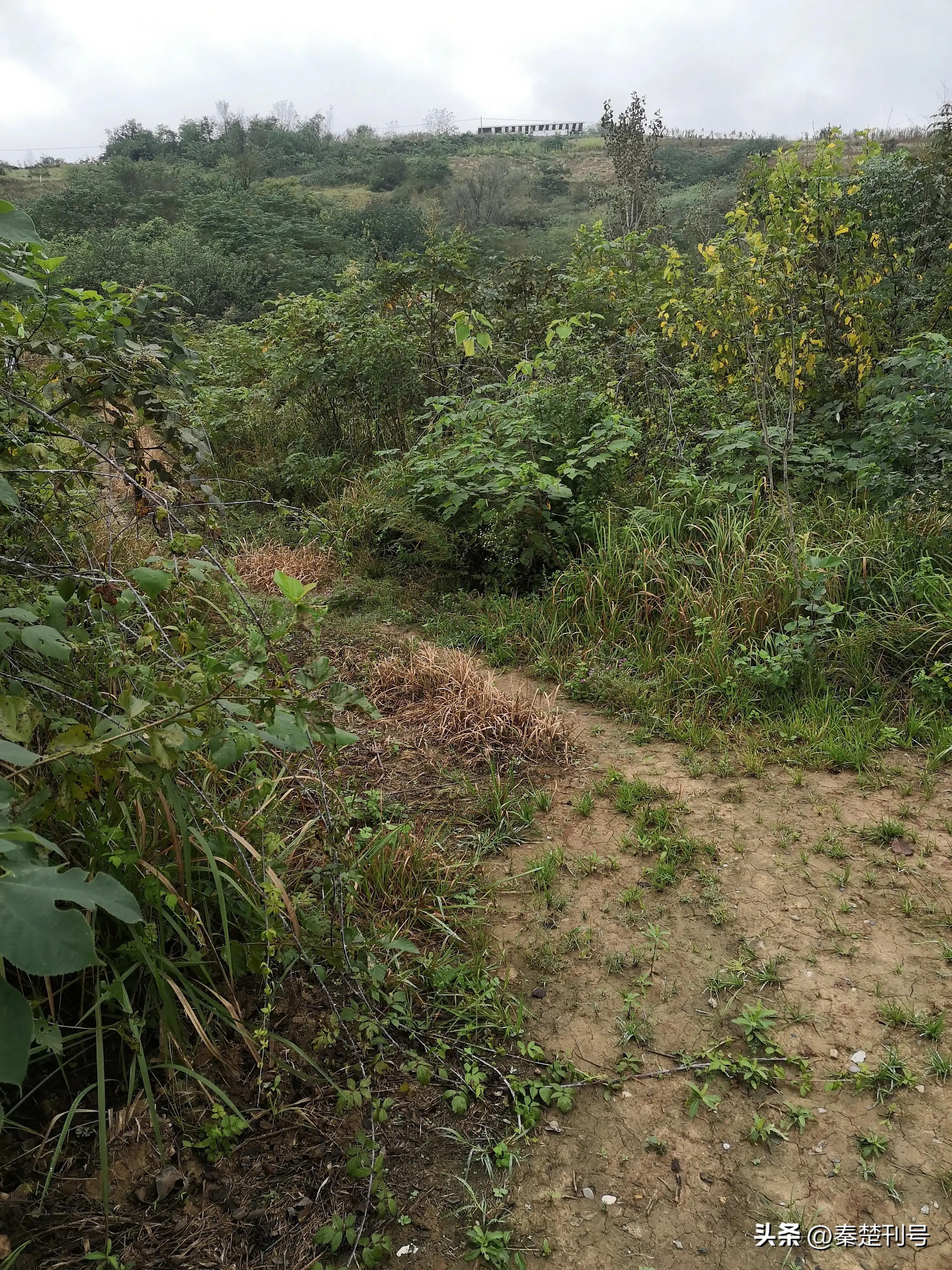 十堰市最终能改成功郧阳市吗,什么时候郧阳改为十堰的