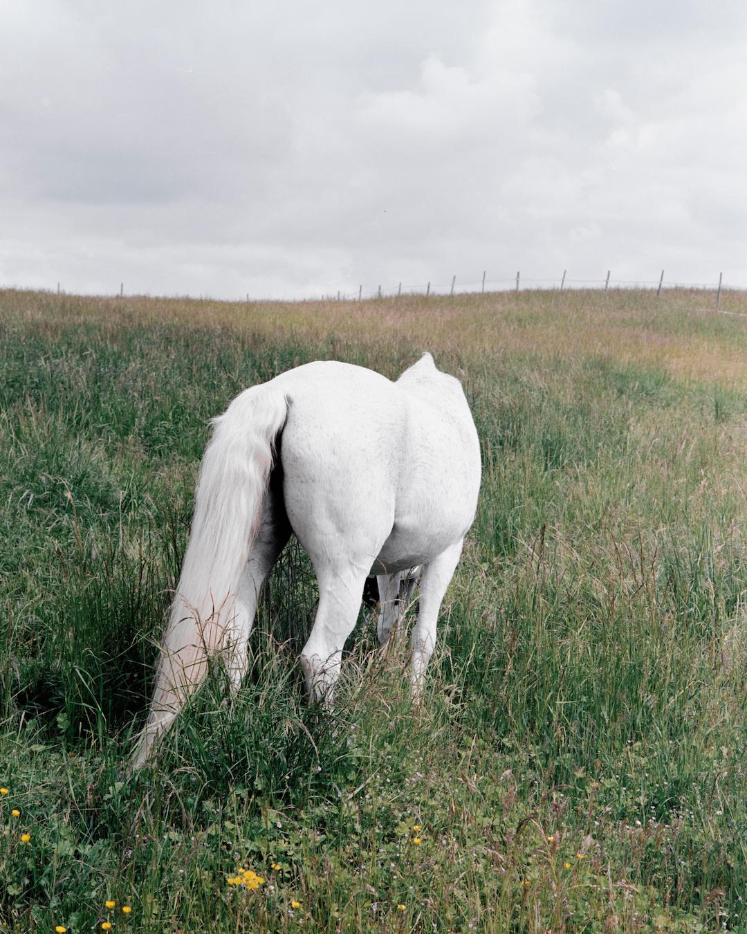 2022索尼摄影大赛征稿,2022索尼世界摄影大赛