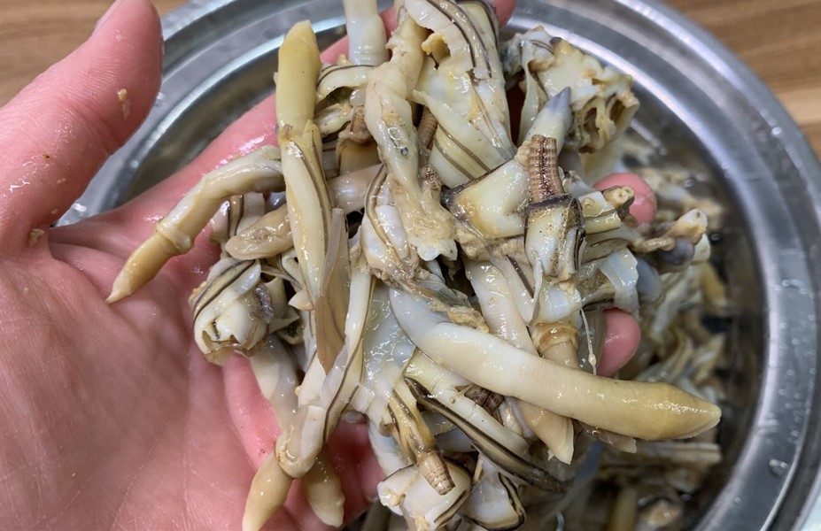 春天遇到此菜别手软一次多囤些,春天遇到此菜别手软