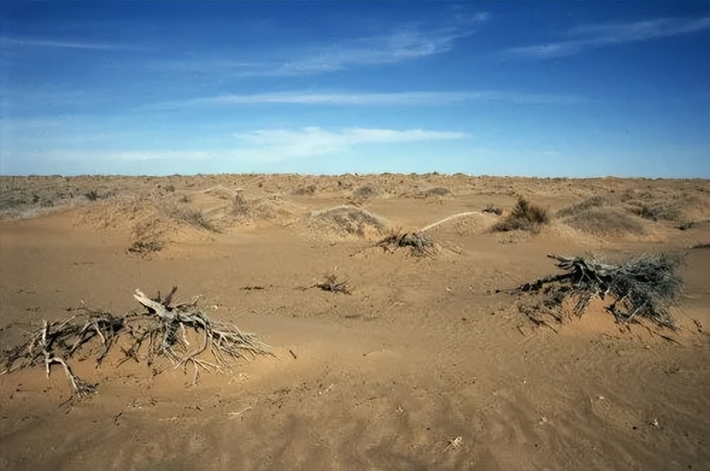 99公益日一起做公益主题活动,99公益日将公益进行到底