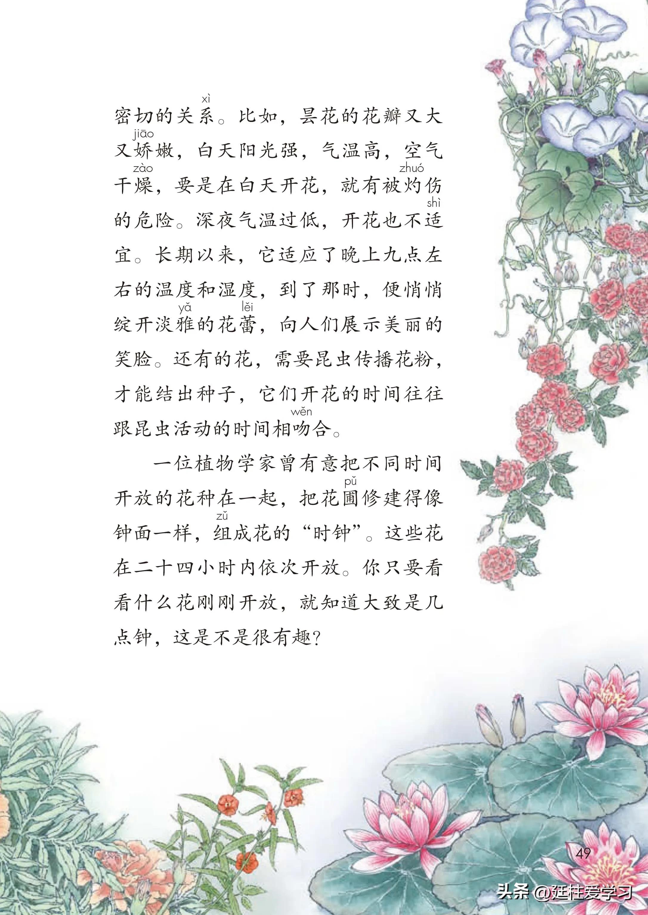 小学语文三年级下册电子版书,小学语文三年级下册知识点