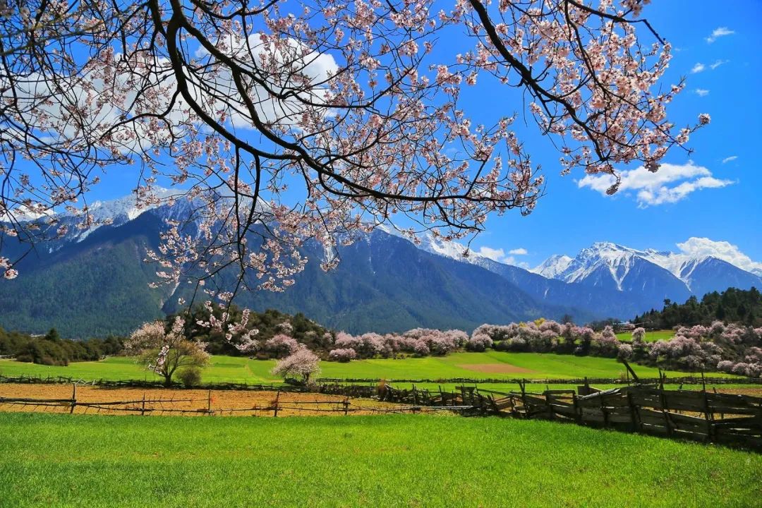 藏西旅游攻略大全,藏西最好的景点