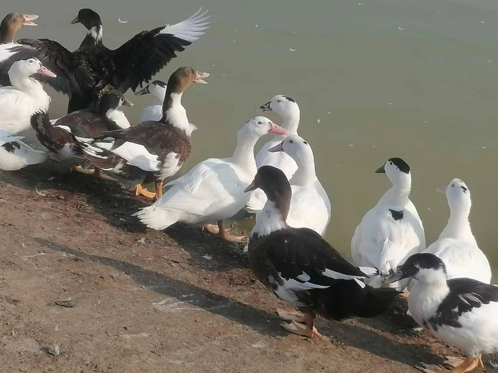 越没钱的时候越应该怎么做,为什么越能干的人越没钱