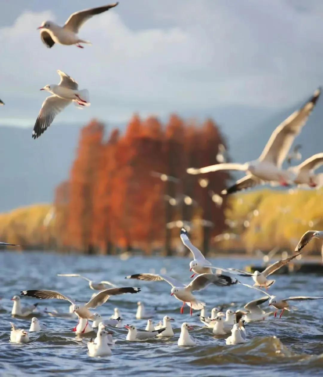 去有风的地方甜宠番外23,去有风的地方甜宠番外