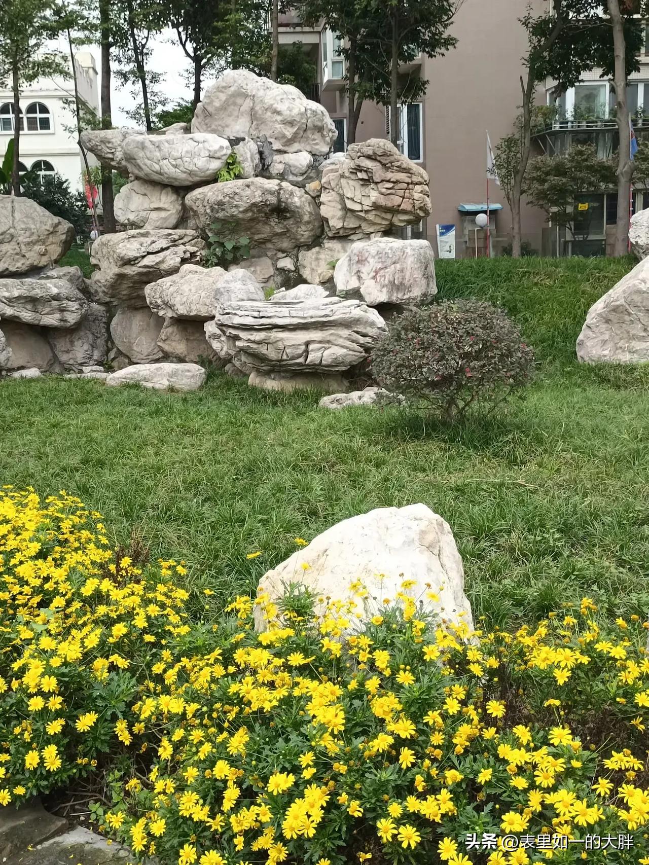 在成都找工作的真实经历,在成都找工作的真实感受