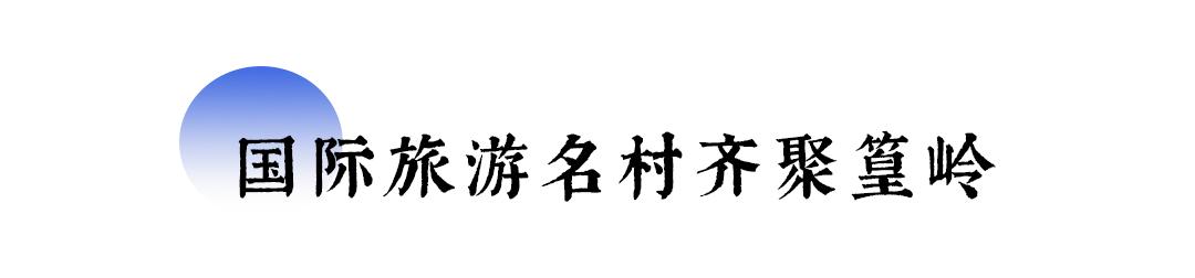 国际旅游村长峰会,第二届乡村旅游大会