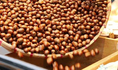 湖北著名的红茶,湖北名红茶