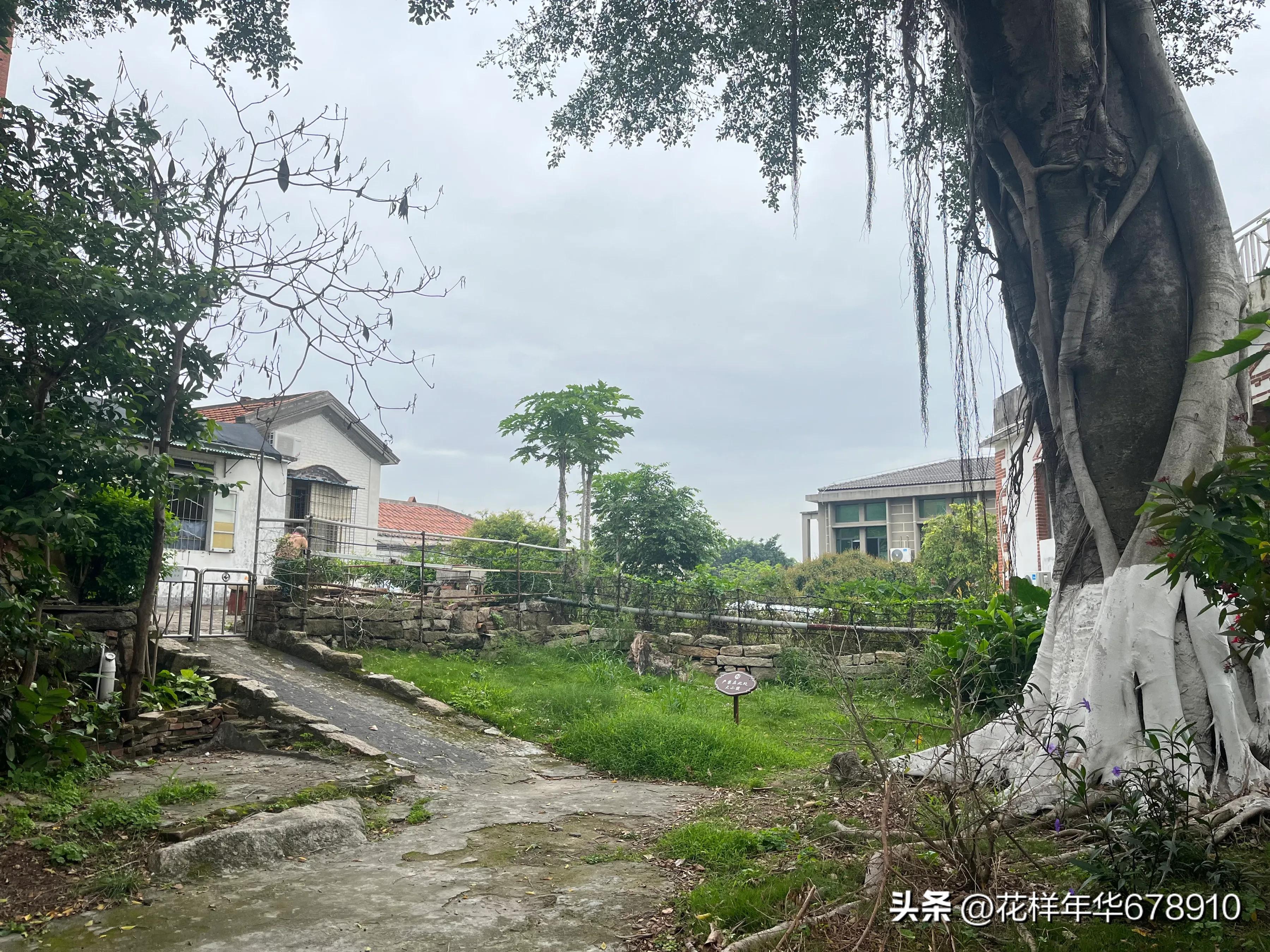 美丽的鼓浪屿鹭岛游艇夜游,美丽的厦门鼓浪屿海边沙滩风景