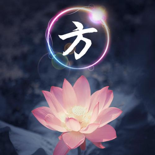 姓氏荷花头像图片大全,荷花姓氏头像图片大全