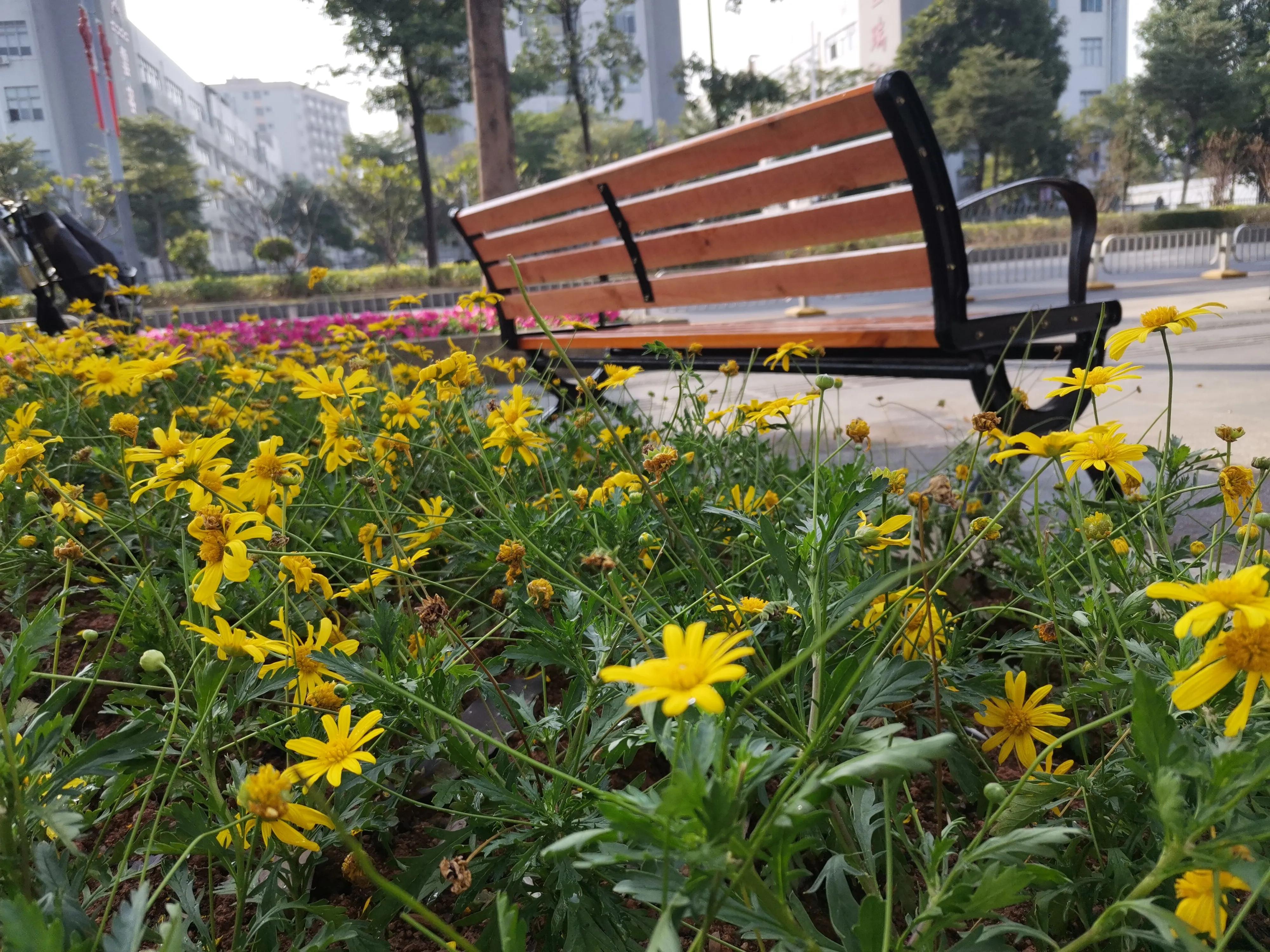 未来四种生意不要干,四种生意不能做四种生意一定要做