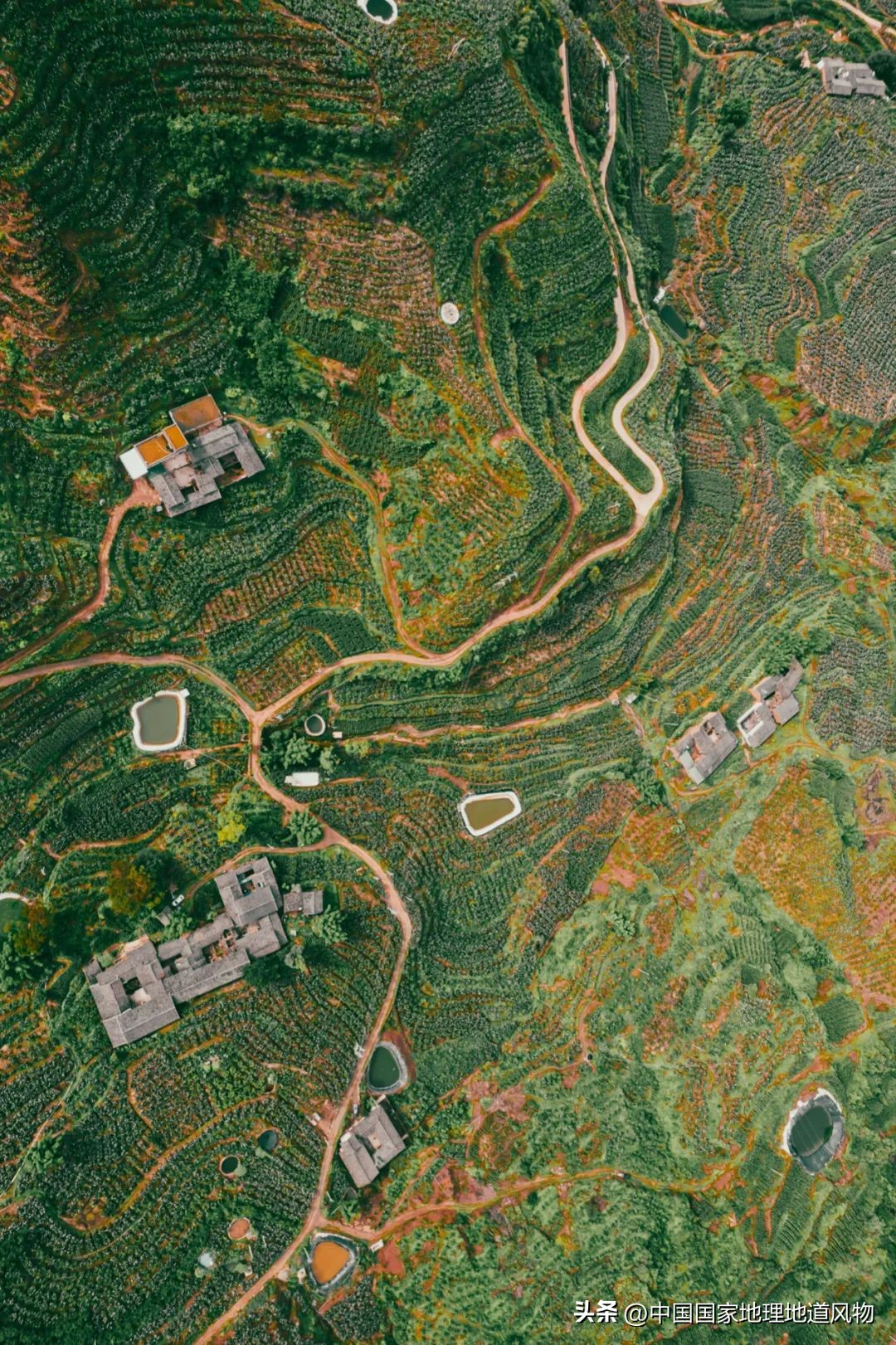 大山深处有哪些秘密,大山里的秘密是哪里的