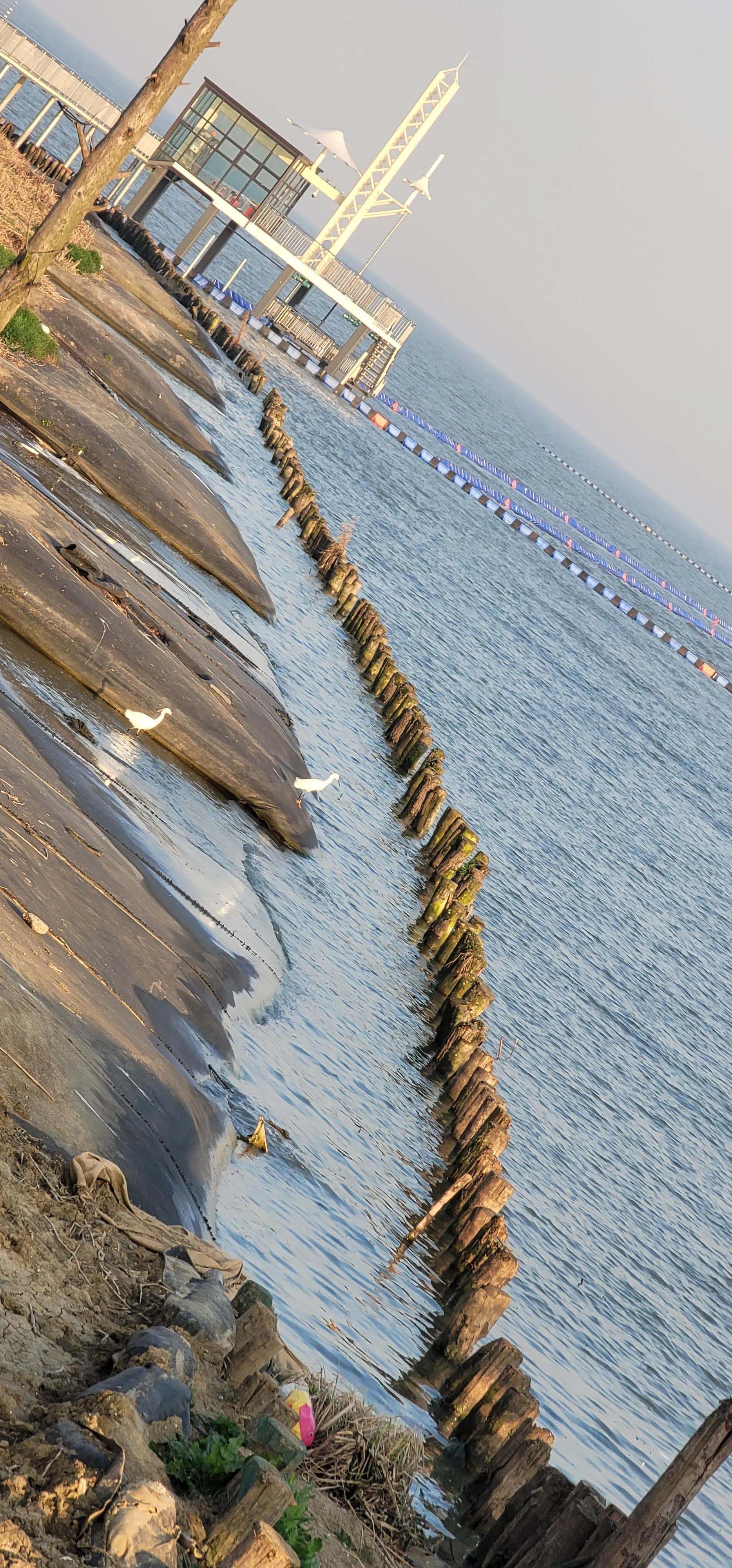 开着沪牌回老家怎么样,开着大巴玩转江浙沪