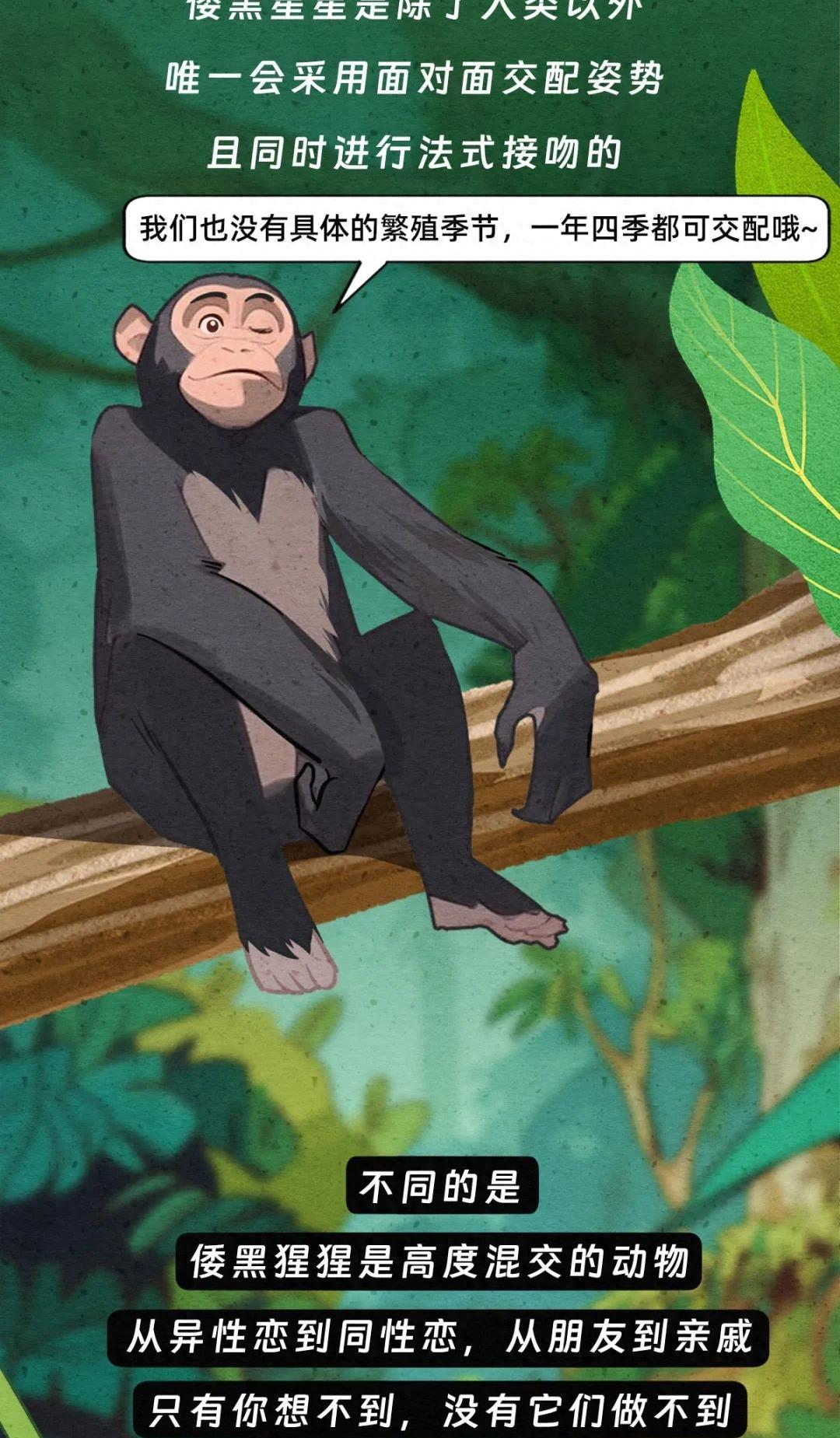 动物交配行为鉴赏，真的触碰到了我的知识盲区（漫画）