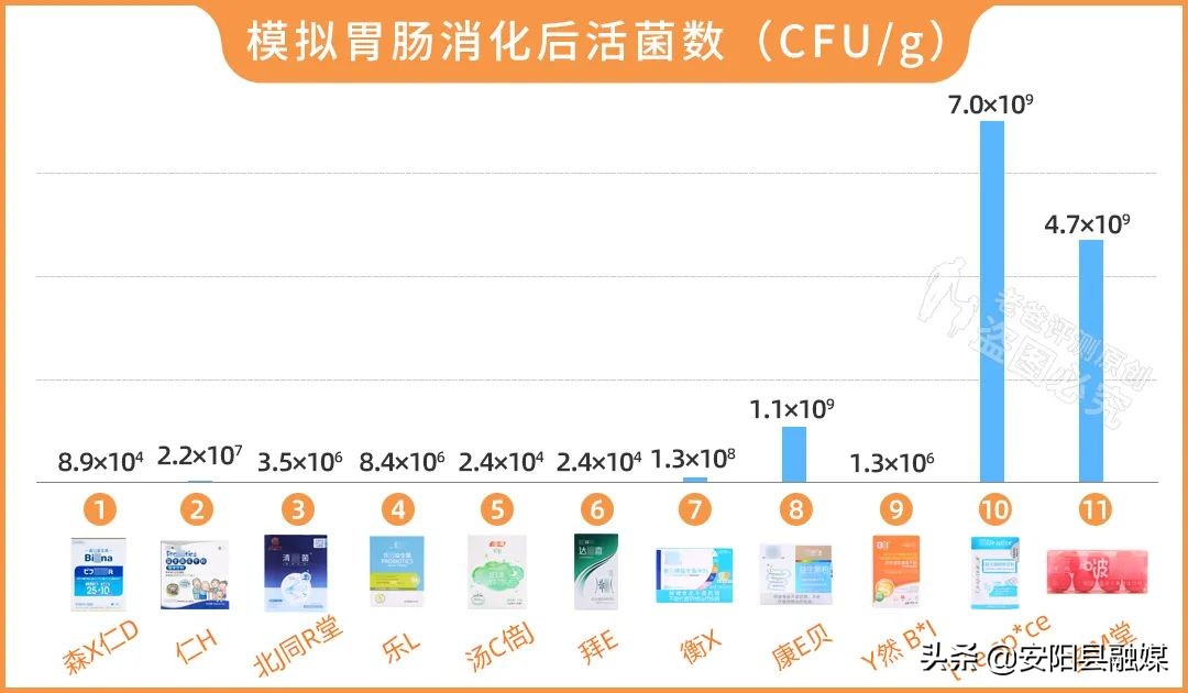 吃什么修复肠道菌群,食物不耐受适合吃哪款益生菌