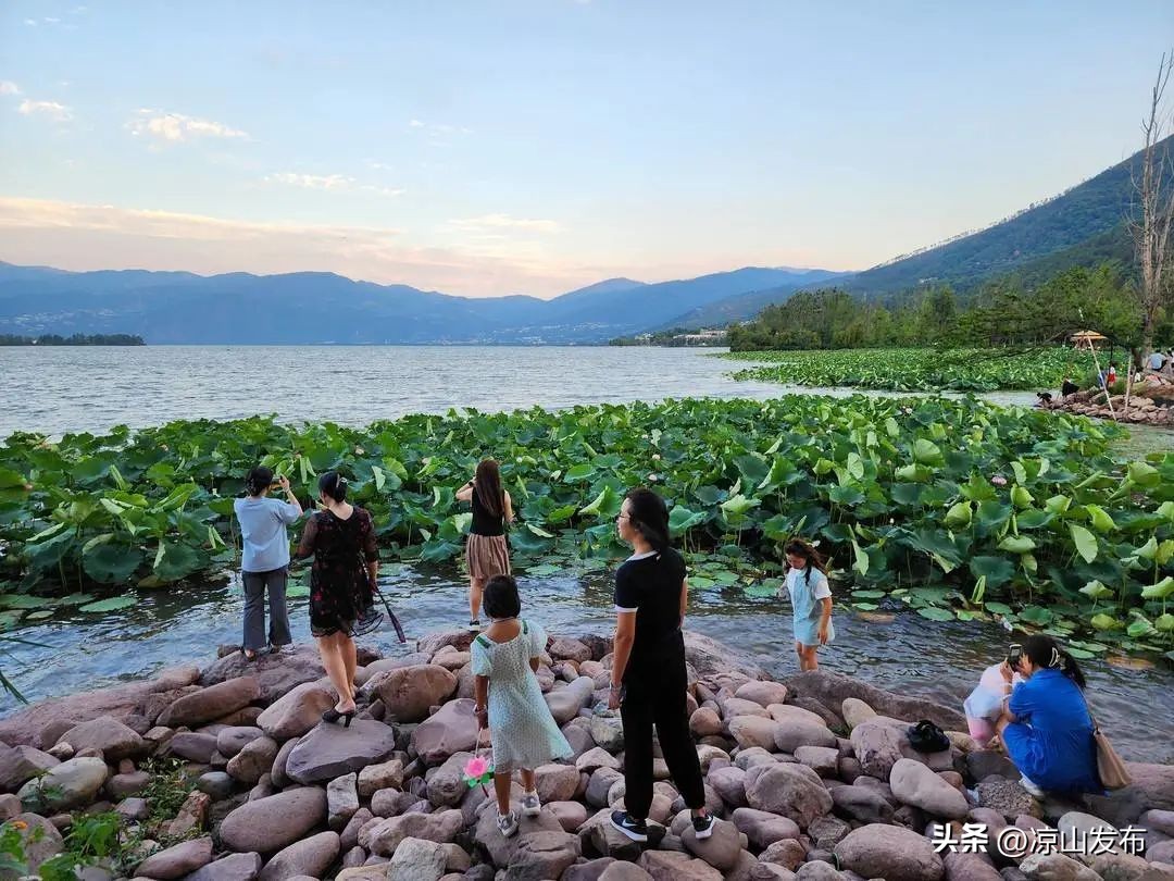 哄抬宾馆价格,西昌市处罚5家哄抬物价的酒店