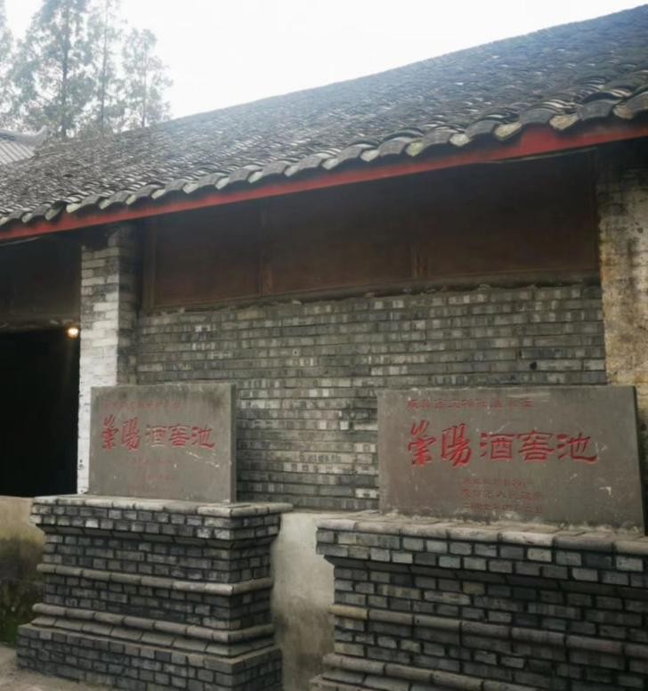 用文化打通中华文脉,用文化唤醒大运河