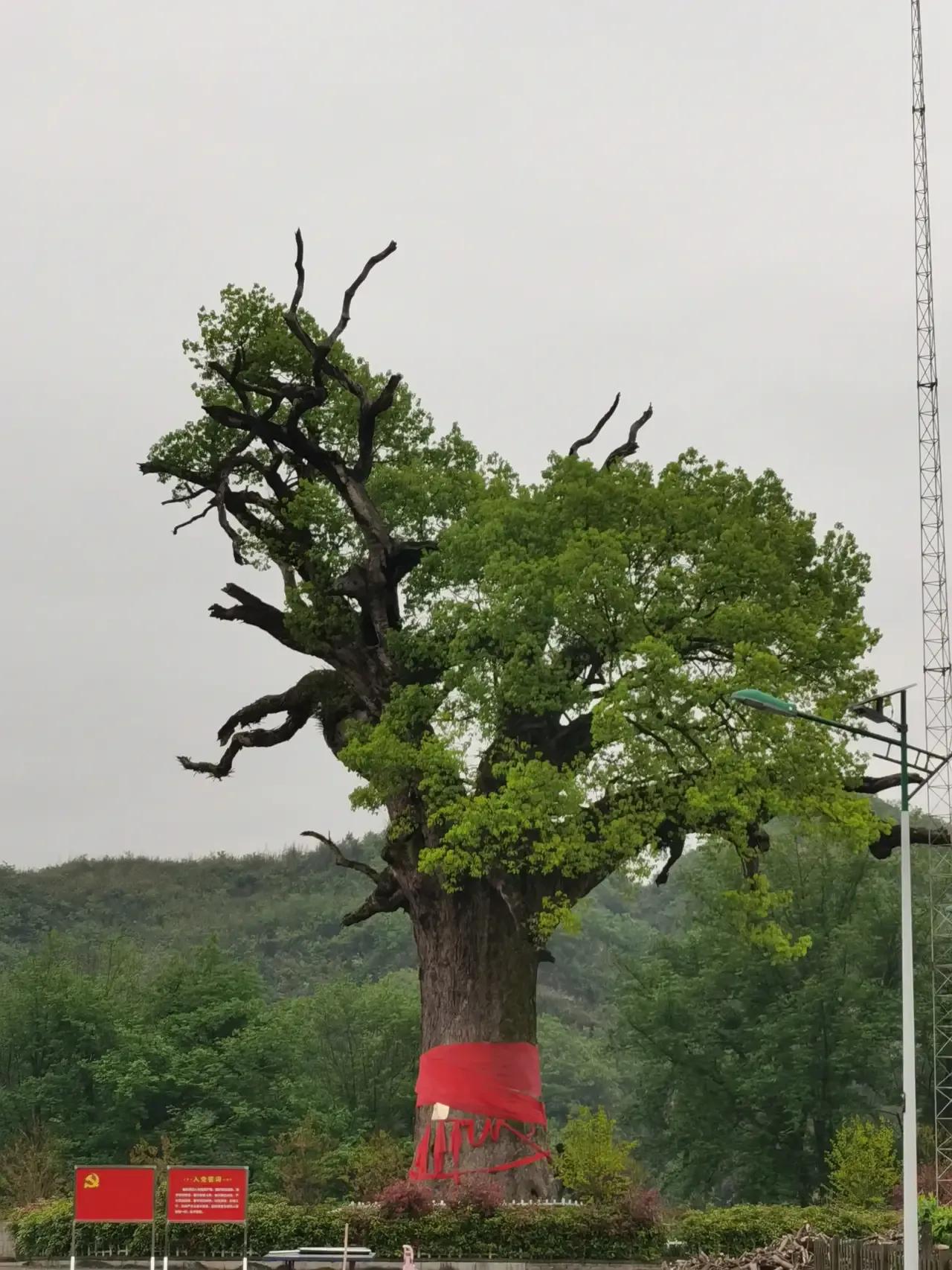 那些你以为便宜实际却很贵的东西,什么东西很贵但实际便宜