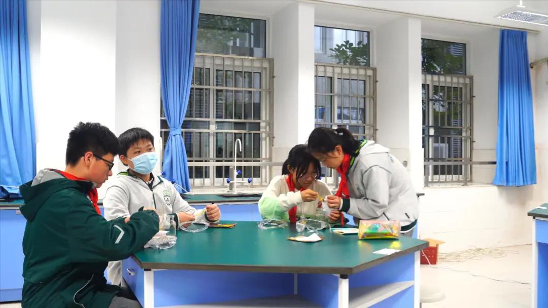 南京师范大学附属中学该怎样学习,南京师范大学附属实验学校小升初