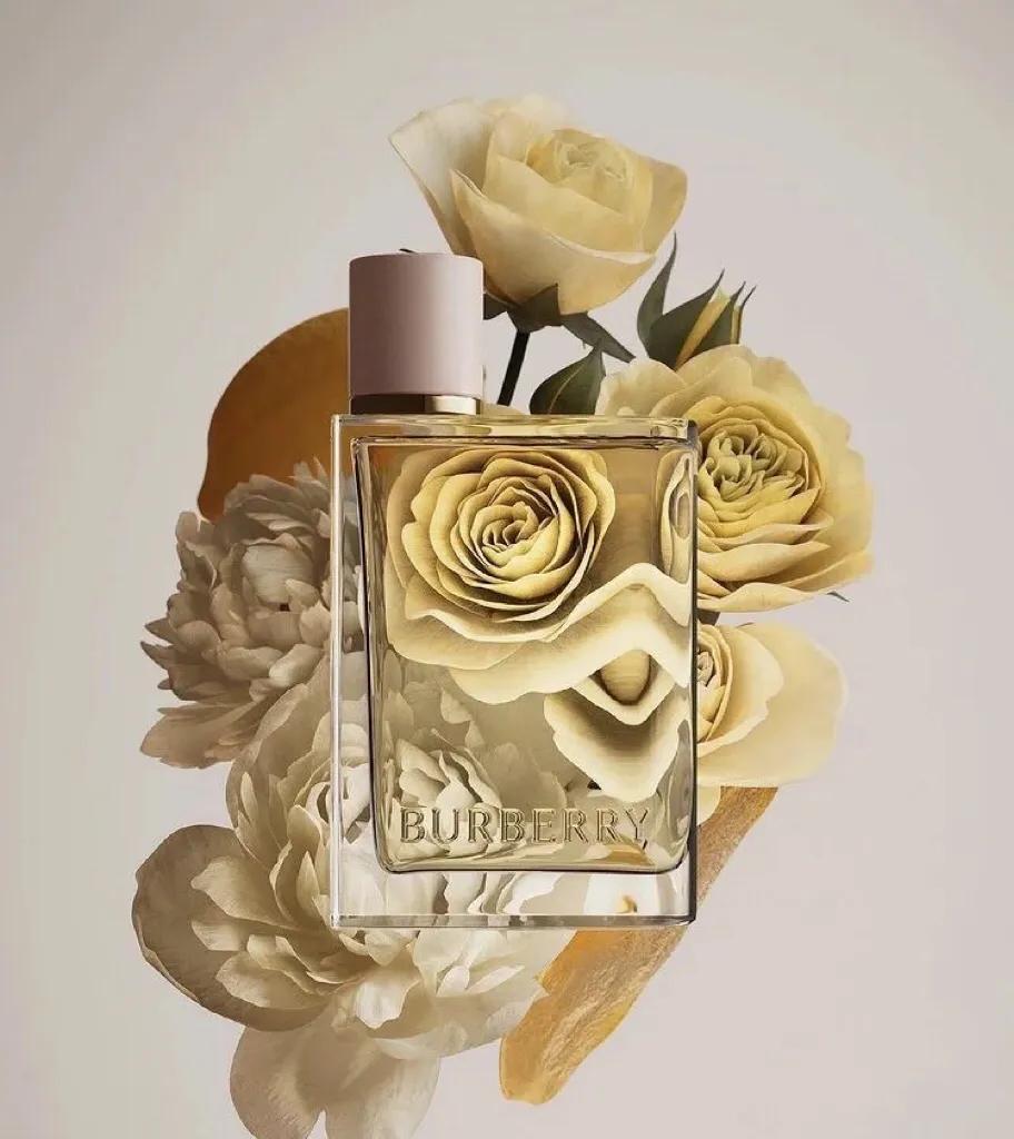 burberry经典款是什么版型,burberry英伦经典