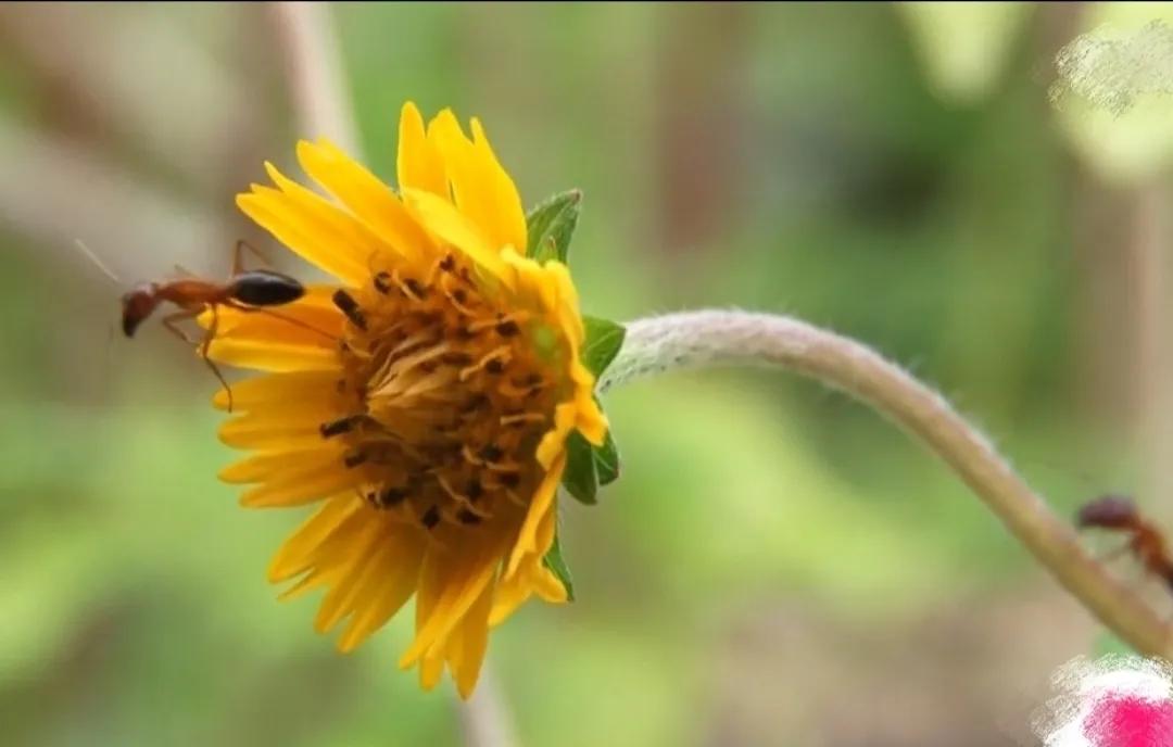 新手发现9：我眼里的头条号百度号企鹅号网易号搜狐号2022