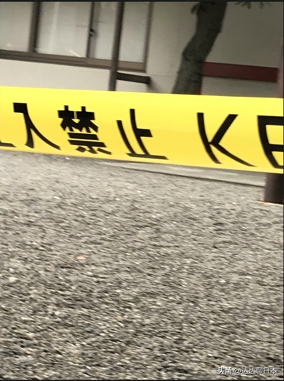 绫濑水泥杀人案残忍程度,绫濑女高中生水泥埋尸案