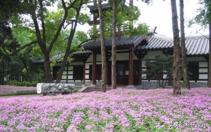 安徽庐州十景视频,合肥贡街十景