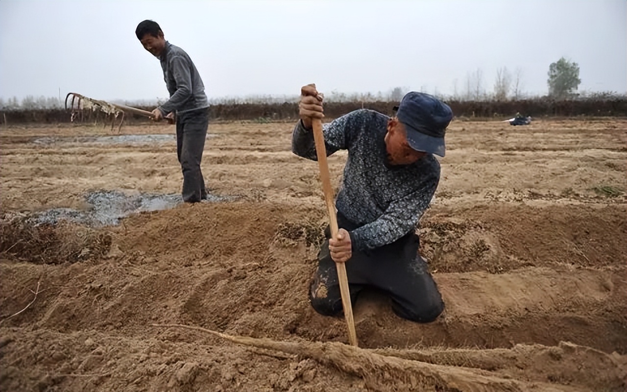 土地征收迁坟有什么补偿,土地征用怎么叫迁坟