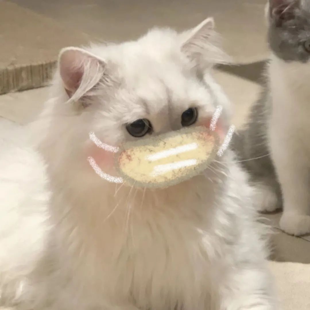 猫咪食欲不振呕吐流眼泪总睡觉,猫咪口臭流口水精神萎靡不吃不喝