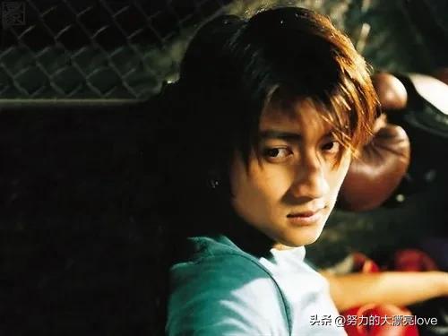 王菲和谢霆锋为什么会在一起,谢霆锋和王菲寻寻觅觅兜兜转转