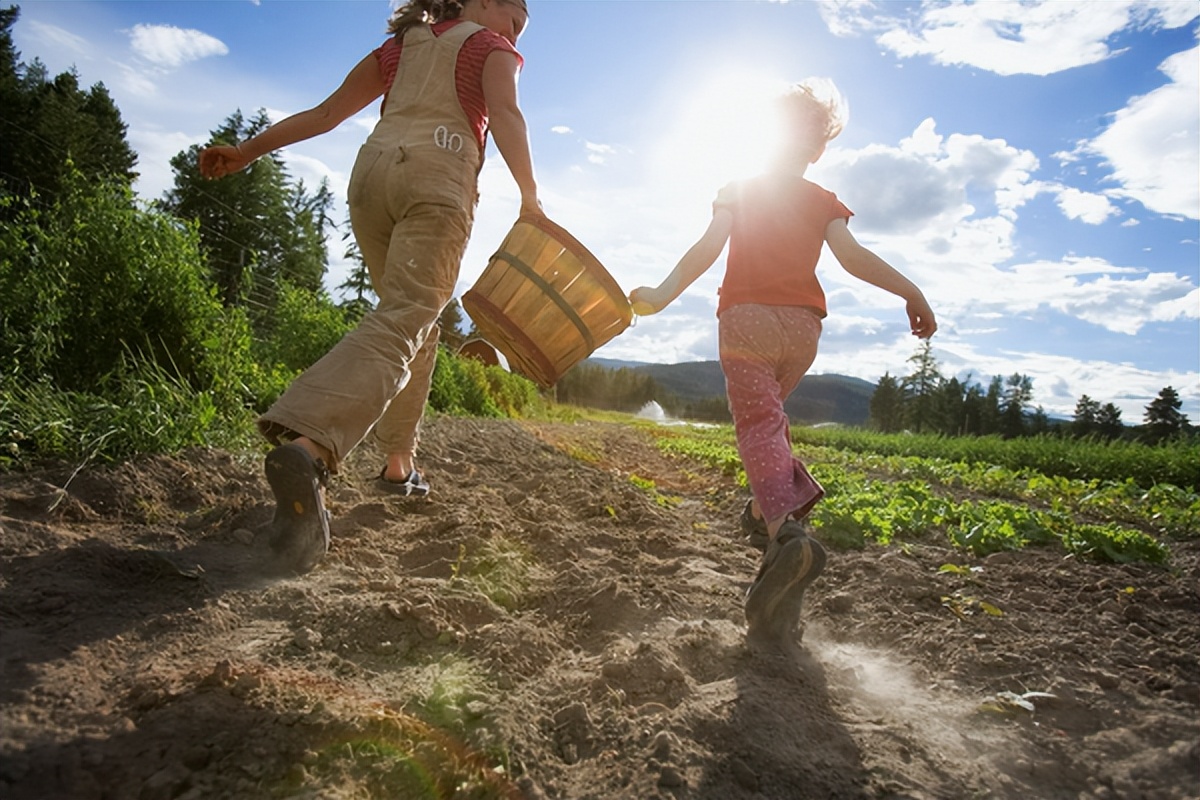 惠州445个楼盘信息，让你买房不再迷茫