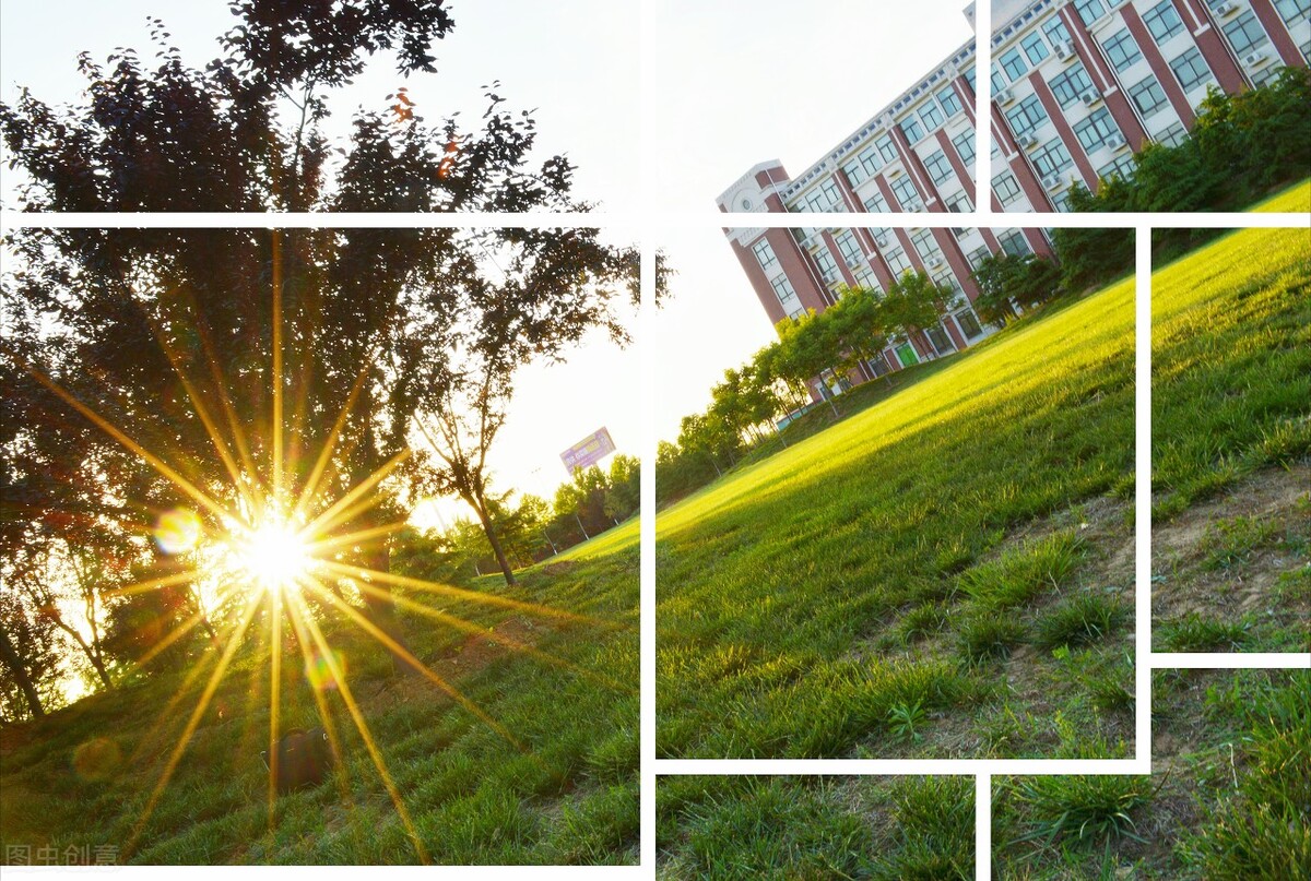 信号爱好者,信号小达人