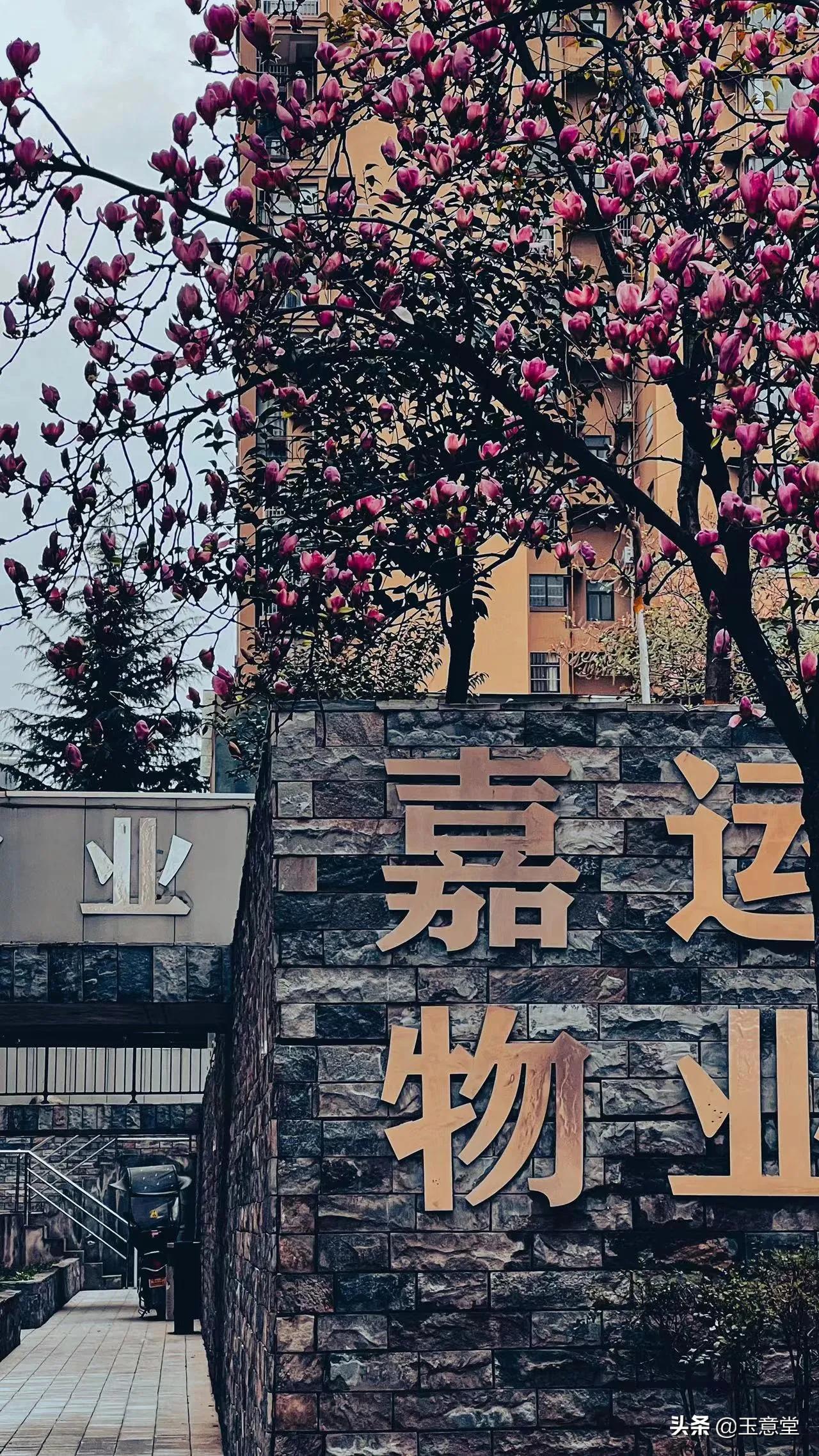 阎良区阳光上东小区,阳光上东小区二手房价格