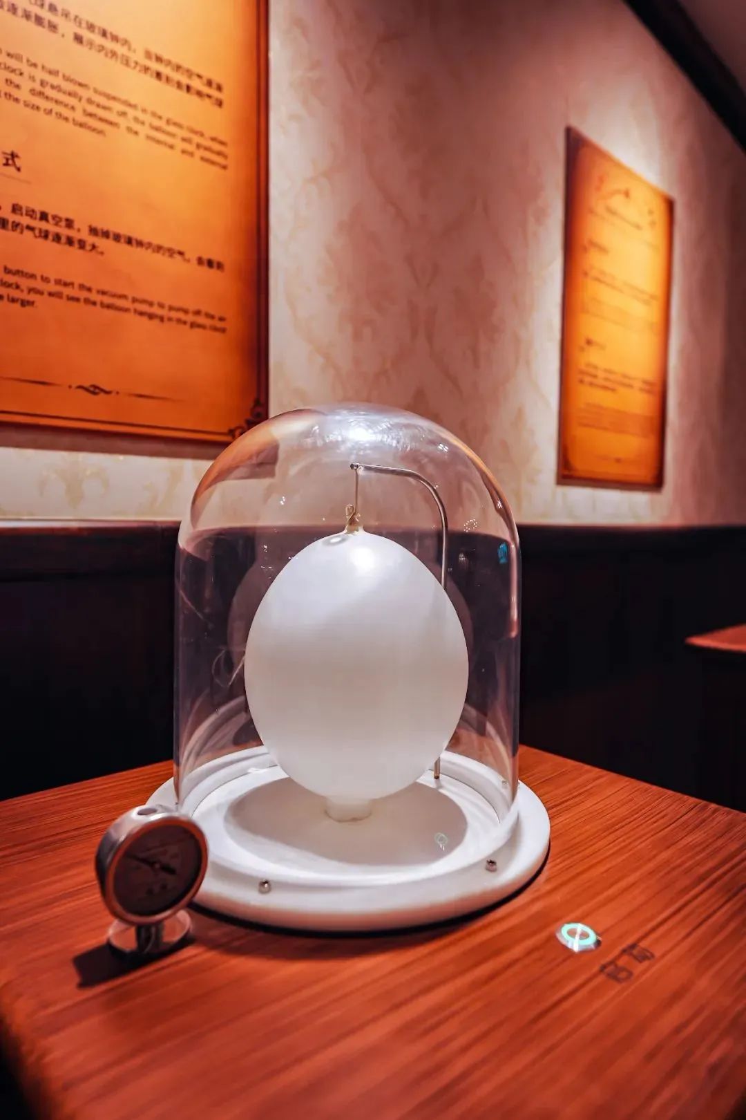 「4月必玩」科学馆上新、超级萌宠节···就在正佳！