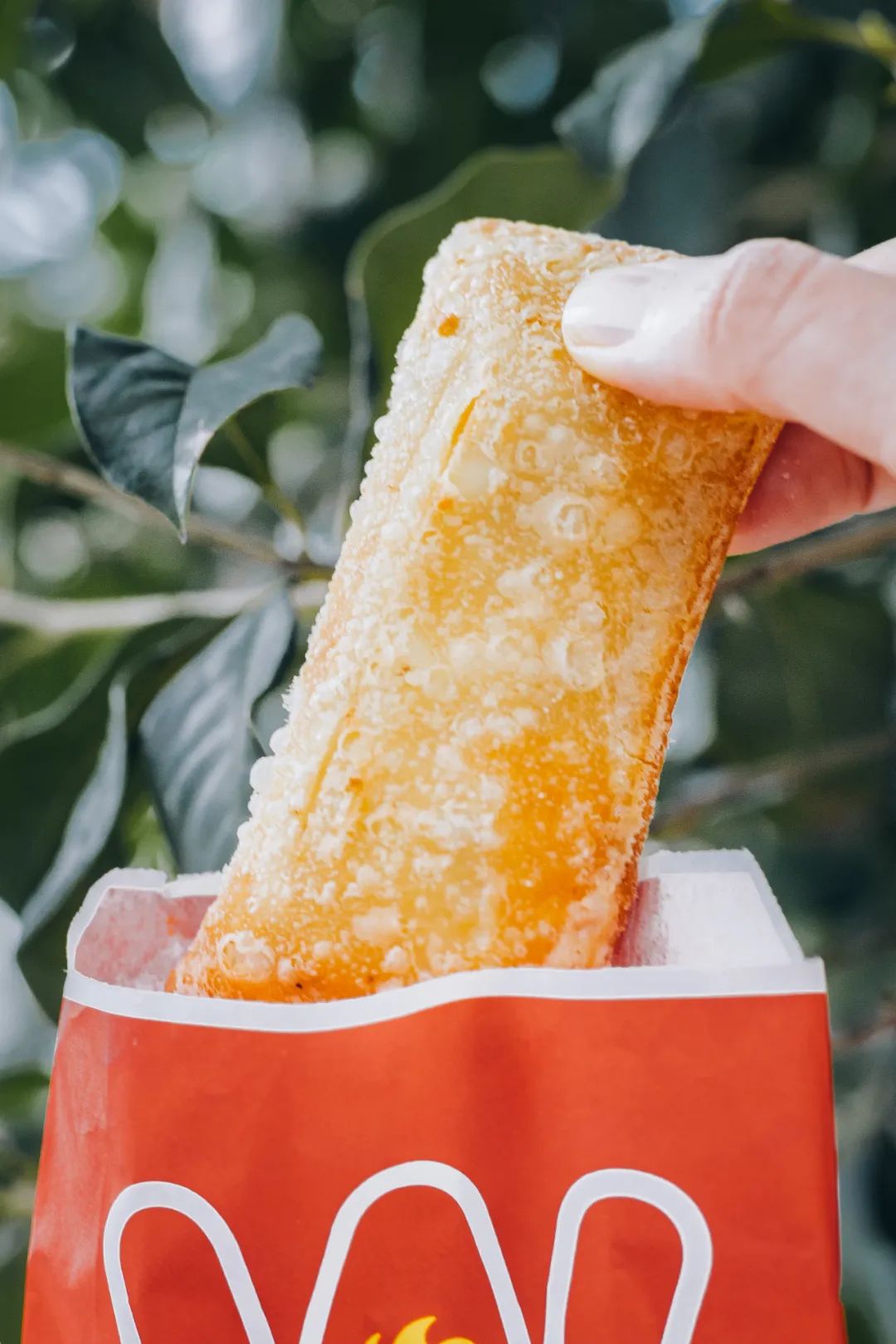 华莱士汉堡炸鸡薯条可乐鸡翅,华莱士为什么只有炸鸡汉堡