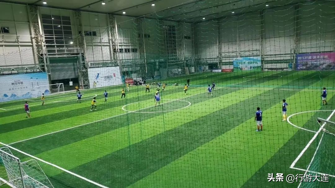 大连体育中心足球场专业足球场,世界杯足球场比赛场地