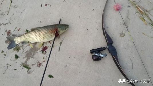 男子炫耀钓到甲鱼后续,一男子炫耀打猎的结果