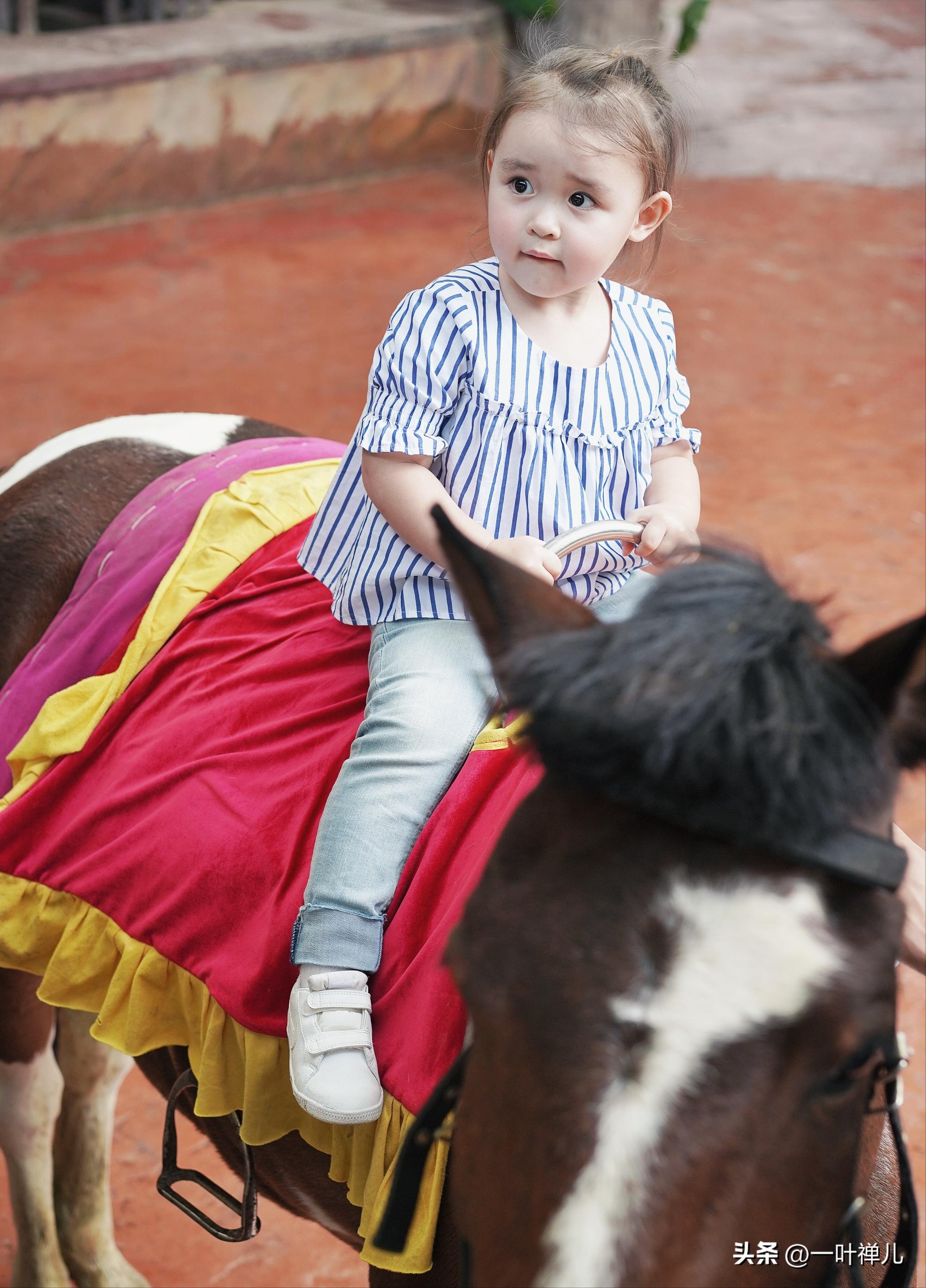 中国女老板外国50万做试管生孩子,27岁女老板生下5国混血