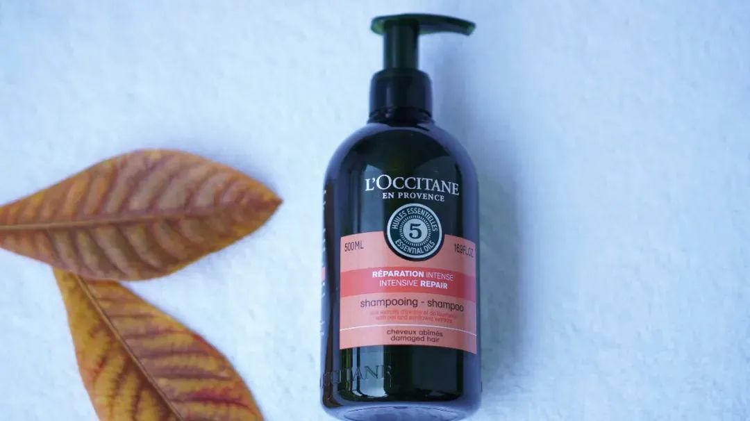 油头掉发适合的洗发水,油头发用什么洗发水好用