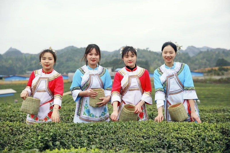 辛巴辛有志直播回放,辛巴辛有志为直播电商贡献人才