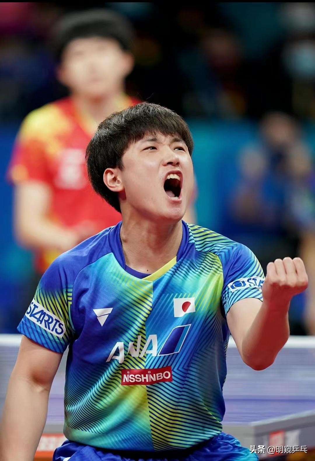 日本天才张本智和,日本选手张本智和最新战况