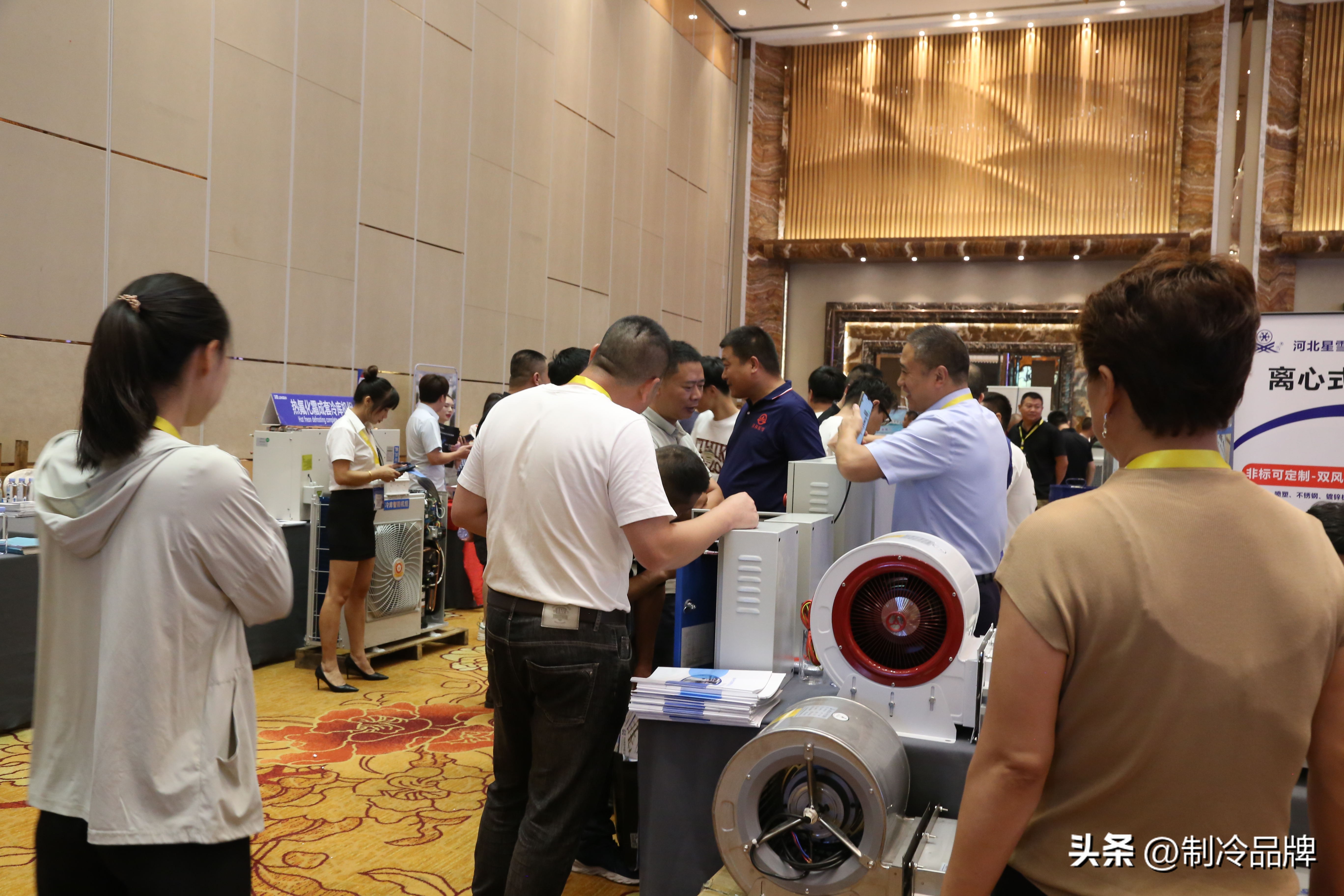 别抢了！今天的C位属于这群制冷企业