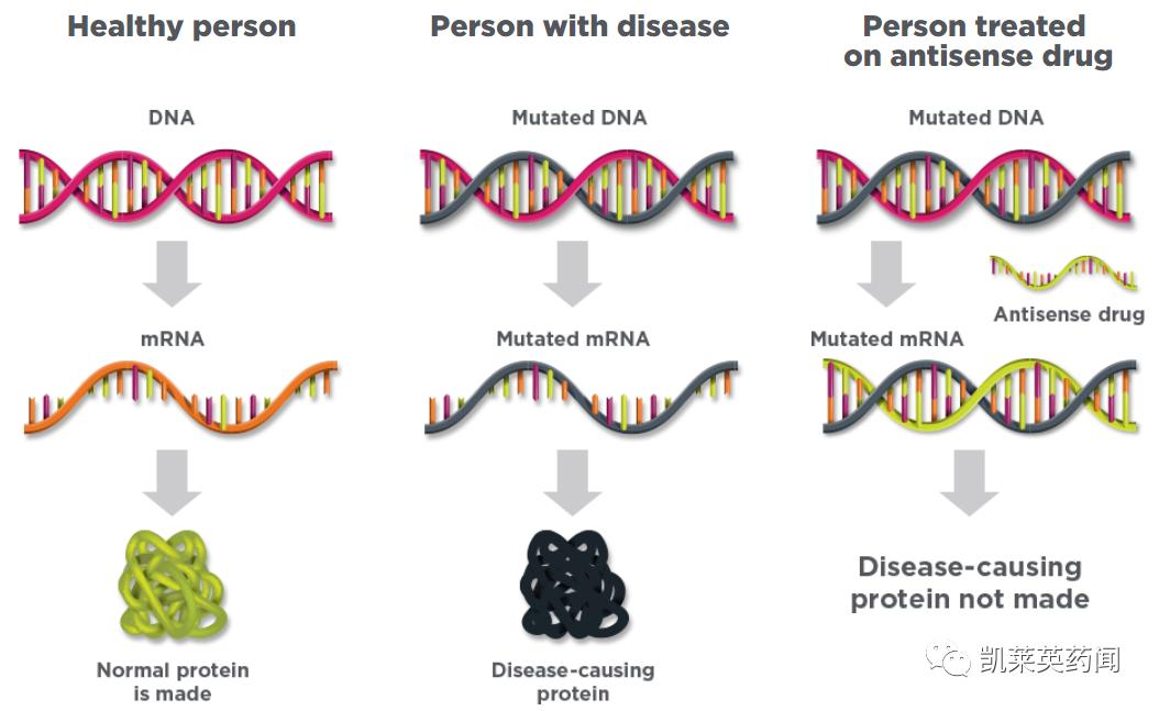 即将迈入3期！IONIS-FB-LRx在一项治疗IgAN2期研究中达到主要终点